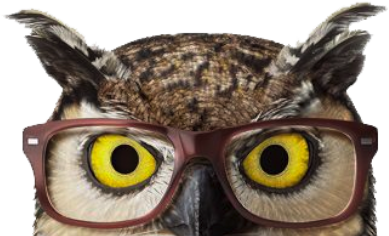 Owl Face Hero Owl Face Hero
